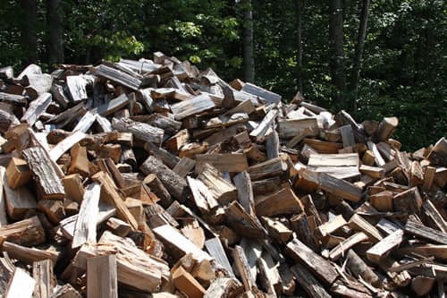 Elm firewood nad logs